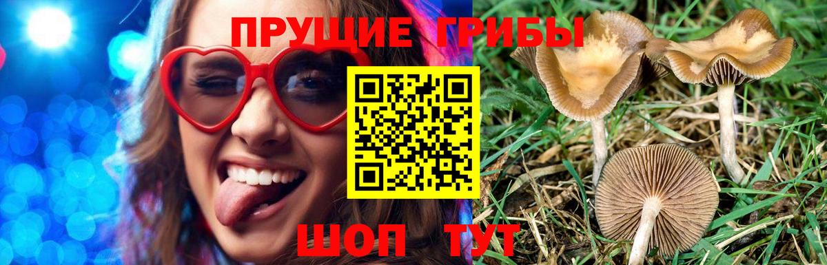 Галлюциногенные грибы мицелий Подольск